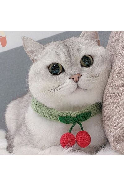 PERFECT Knitted Cat Necklace with Cherry