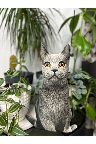 Pethoven Kedi şeklinde yastık "british shorthair"