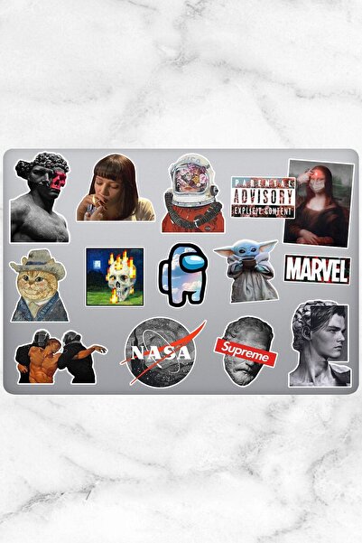 Varonesa Aesthetic Temalı Laptop Notebook Tablet Sticker Seti 14 Adet