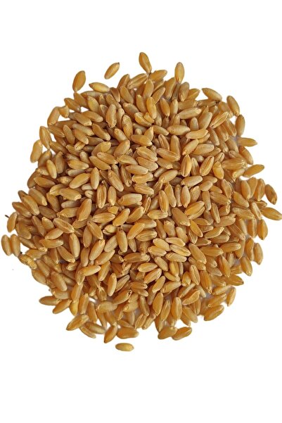 Buğdayım 25kg Elenmiş Kırmızı Buğday