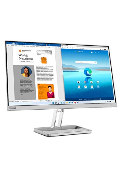 LENOVO L27i-40 27 inç 100Hz 4ms FreeSync IPS FHD Monitör Bulut Grisi