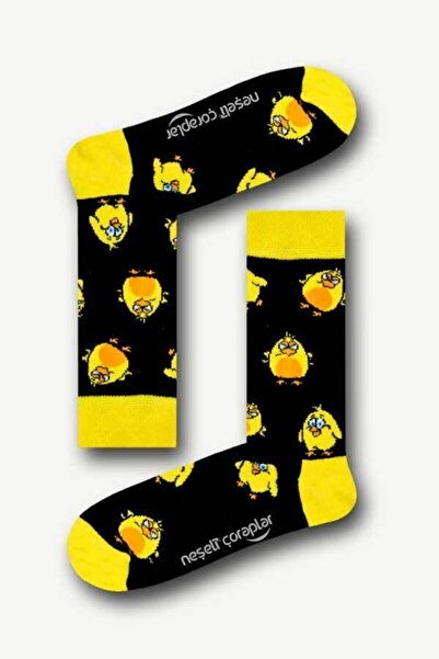 Neşeli Çoraplar Erkek Siyah Siyah Civciv Desenli Renkli Çorap