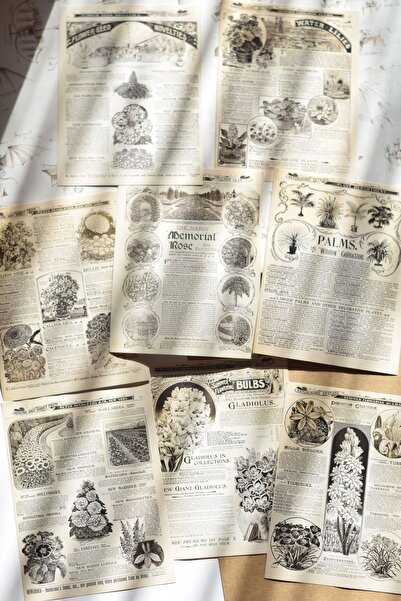 Scrapbook Yapışkanlı Vintage Gazete / Scrapbook & Journal