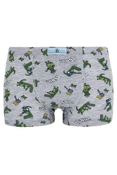 biyokids Boys' Mixed Color Printed Boxers 5 Pack