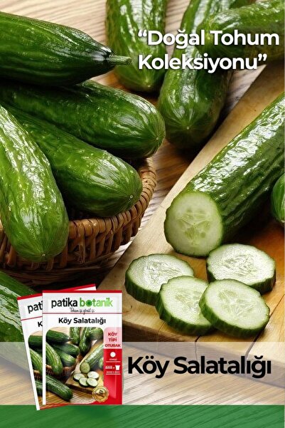 Patika Botanik 75 Adet Yerli Ata Karışık Köy Salatalığı Tohumu