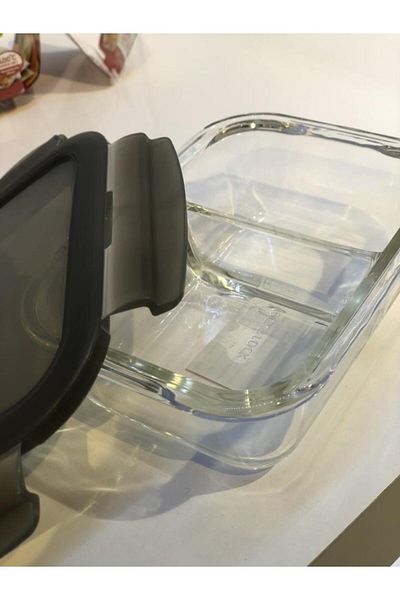 Lock & Lock Locknlock Euro - 320 ml Gray Oven and Storage Container with Lock and Compartment