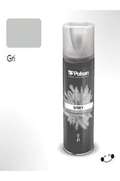 Polisan Sprey Boya 400 Ml