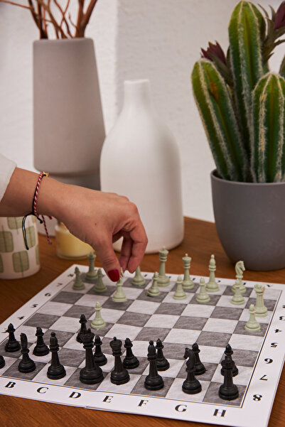 HOBYGAMES Chess Set, Educational Chess Set, Training-oriented Chess Set, Play...