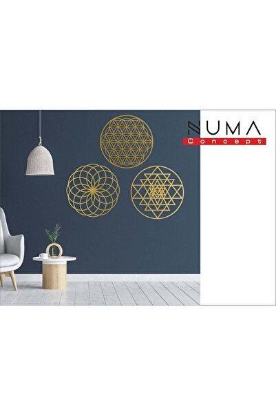 Numa Concept Duvar Dekoru 3'lü Aynalı Gold Pleksi Yaşam Çiçeği Salon Ofis Ve Antre İçin | 30x30 Cm