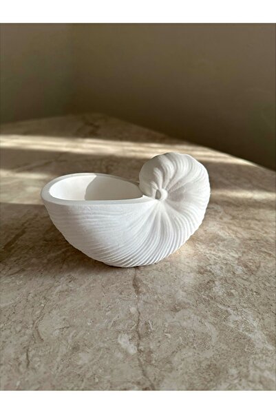 Bautinq Store Deniz kabuğu istiridye beton kase obje dekoratif biblo