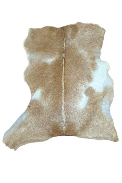 Canarı Hobi Art Deco Hakiki Deri Oğlak Postu 51x55cm (019) Dana Inek Post Kuzu Koyun Ev Dekorasyon Fikirleri