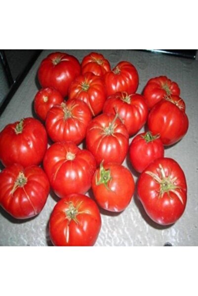 Murat Tohumculuk Süper Paket Ankara Ayaş Domatesi Tohum Domates Tohumu Ayaş D...