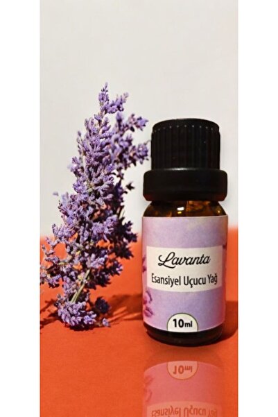 Topimania Yün Kurutma Topları Lavanta Uçucu Buhur Yağı Buhurdanlık Esansı Oda...