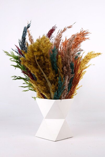 MH MiniHediye بامباس في وعاء خرساني أبيض زهور مجففة في مزهرية مزخرفة بألوان م...