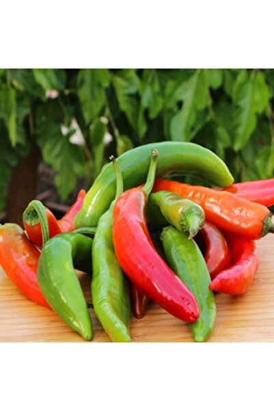 Murat Tohumculuk Eko Paket Meşhur Acı Hatay Biberi Tohumu Samandağ Biber Tohu...