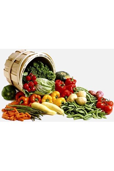 Murat Tohumculuk Bostan Seti Köy Tipi Domates Tohumu + Çengelköy Salatalık To...