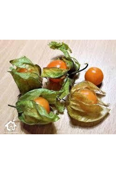 Köy Tohumları 25 Adet Tohum Tropikal Altın Çilek Güney Feneri Tohumu Sürpriz ...