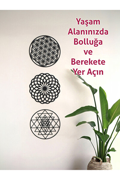 Capellawoodworks 3'lü Dönüşüm Seti Ahşap Sri Yantra Yaşam Çiçeği Yoga Mandala Siyah