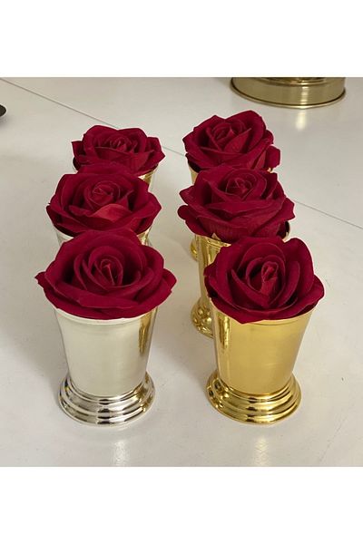 Elzemm store GOLD AND SILVER COLOR 6-PIECE ROSE BUCKET RED VELVET ROSES INCLUDED