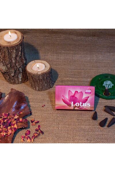 Darshan International Lotus Konik Tütsü 10 Adet