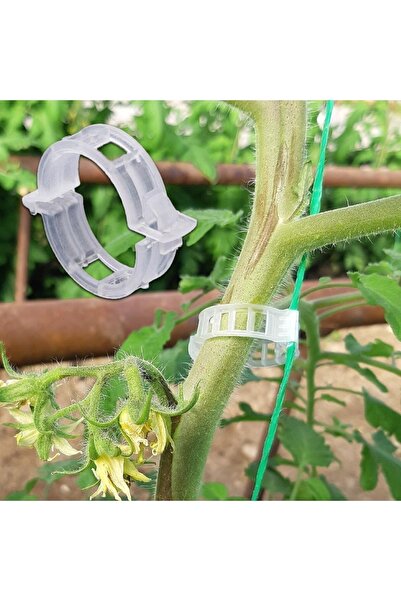 SeraTrend Bitki Klipsi 500 Adet Orijinal Şeffaf Bitki Tutucu Domates Klipsi Çiçek Destek Klipsi Her Bitkiyle U