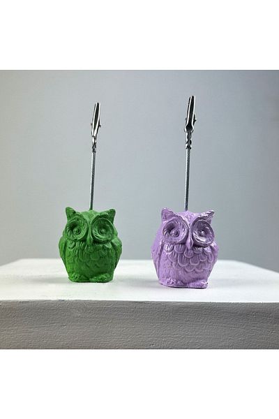 Melouro Owl Note Holder Set of 2 (green - Pink)