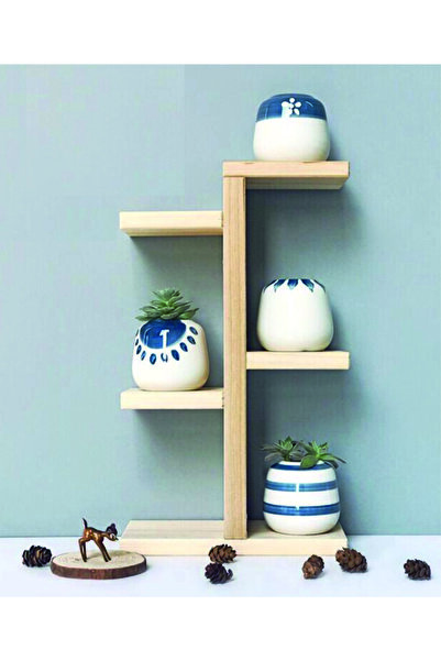 Tiydem Ahşap Masaüstü Pencere Önü Rafı / Skulent, Kaktüs Saksı Rafı/ Ahşap Çi...