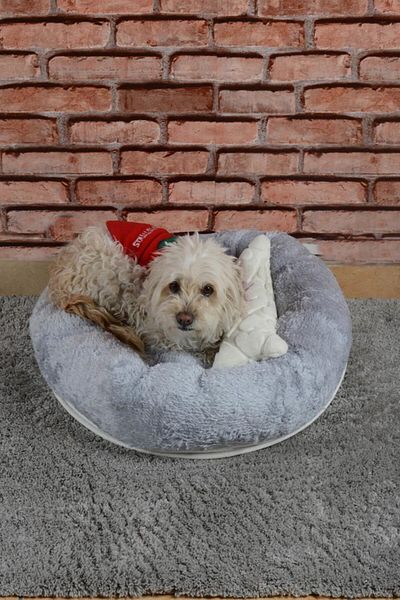 Cookie Pet سرير شيربا بولار دائري قابل للغسل للكلاب والقطط مقاس 60 رمادي