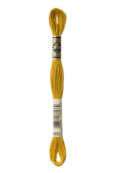Dmc Muline Hand Embroidery Threads-3852