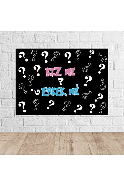 Parti Furyası Cinsiyet Kız Mı Erkek Mi 50x70 Cm Branda Afiş