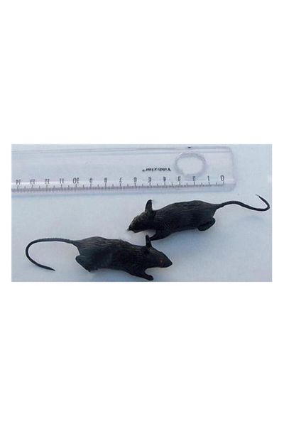 Ufuk Şaka Oyunları Merkezi Puppet Mouse (3 Pieces)