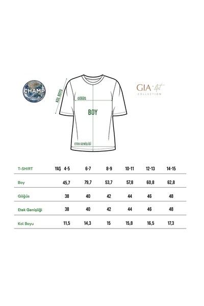 The Champ Clothing Smoke Colored Collective Fly Knit Children's Football Design Printed T-shirt