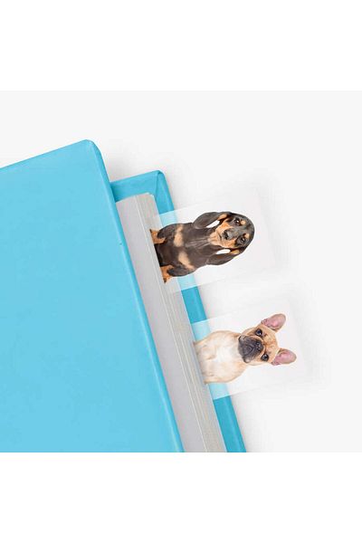 JUST MUSTARD Mustard Dog In A Book