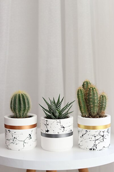 LOREMY Gold-bakır-gümüş Mermer Desen Beton Saksı Seti Silindir Kaktüs&sukulent Saksısı 3’lü Set