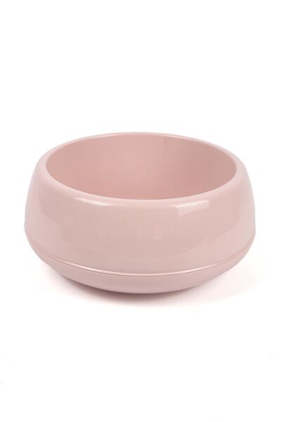 MH MiniHediye Dekoratif Aranjman Saksı Kaktüs Sukulent Çiçek Saksısı 2 lt