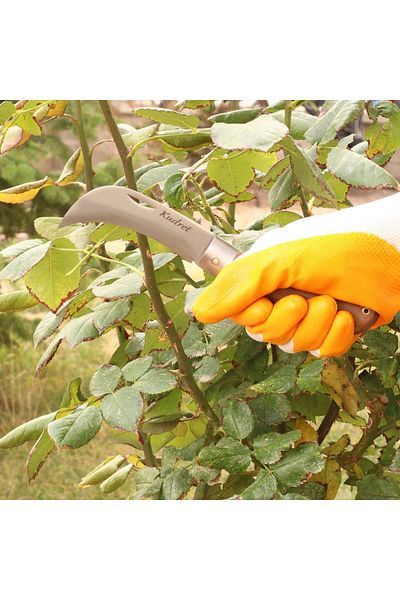MH MiniHediye Wooden Handle Curved End Stainless Forged Steel Sapling Wood Graft Knife 21 cm