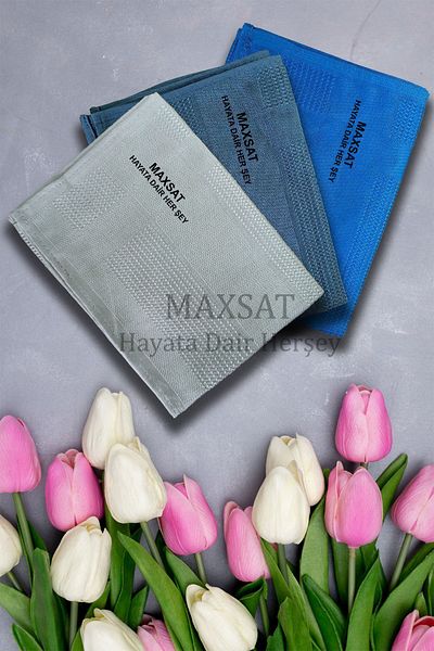 MAXSAT Hayata dair her şey 3 Pieces Microfiber Glass Cloth - General Cleaning, Kitchen and Bathroom Surface Tycmxt 240624