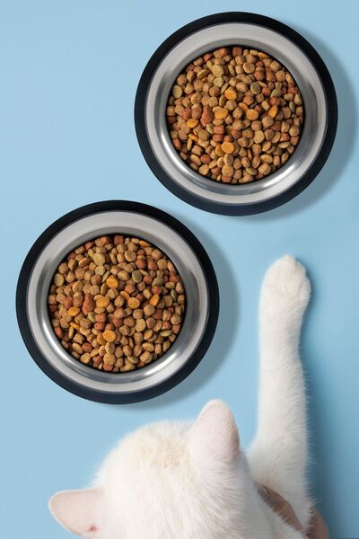 MH MiniHediye 2 Adet Kedi Köpek Mama ve Su Kabı Çelik Kase 300 ml
