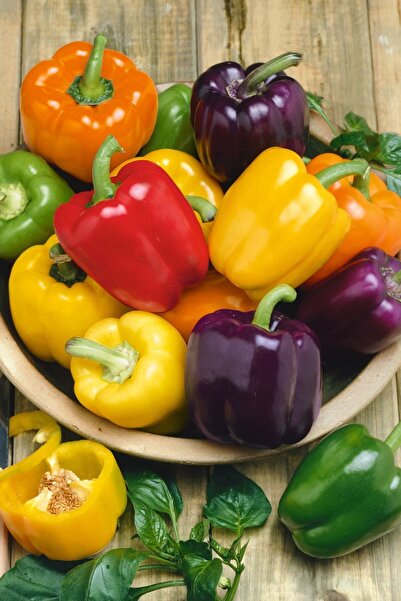 ZENGARDEN EV VE BAHÇE Kaliforniya Çan Biber Tohumu Çok Renkli Dolmalık Biber Atalık