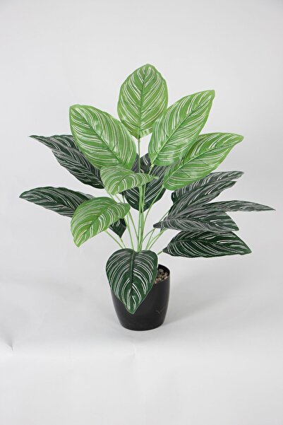 Yapay Çiçek Deposu Yapay Dua Bitkisi 18 Yapraklı Siyah Saksıda 65 cm Yeşil-Beyaz