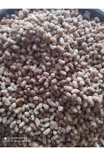 SİVRİCE TİCARET 1 Kg Ulukale Dutu ( Özel )