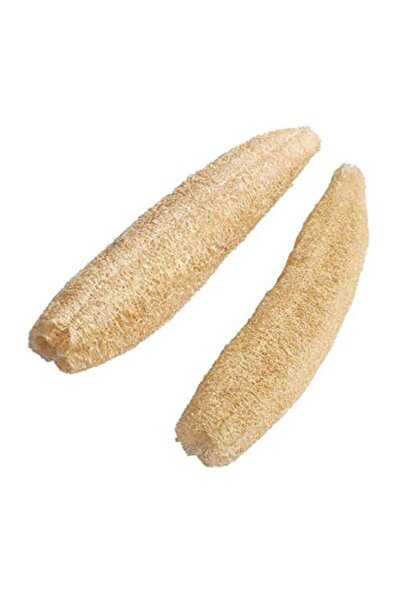 Şenköy 50 Adet Tohum Eko Paket Lif Kabak Tohumu Kabak Tohumu Lif Kabağı Tohumu