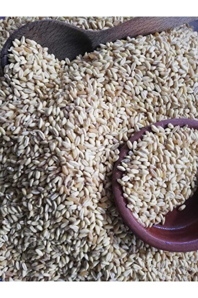 SİVRİCE TİCARET Özel Deve Dişi Buğday Dövme 5 Kg