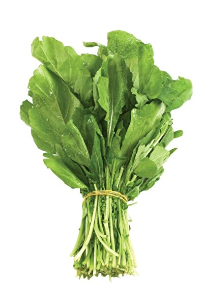 ERDEM GARDEN Doğal Geniş Yaprak Ispanak Yeşil Sebze Tohumu 100 Ad. Yerli Tohum