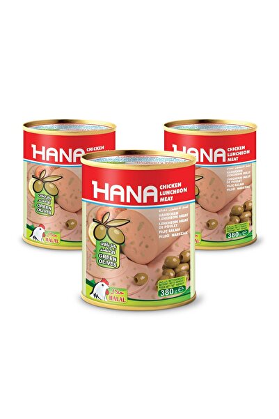 Hana Piliç Salam-zeytinli 380 gr X 3 Adet
