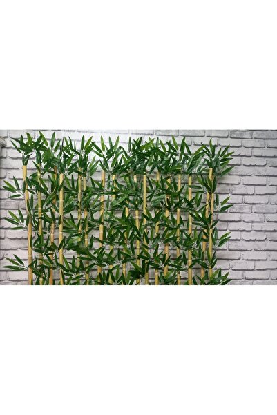 ERHAN FLOWERS 100 Cm Saksıda 200 Cm 15li Bambu Speratör