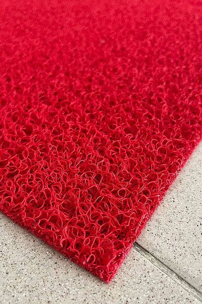 Paspas Yap Red Curly E Logo Pharmacy and Work Place Mat - Water Absorbent Entrance Mat