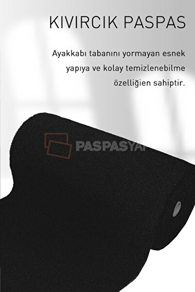 Paspas Yap Water-Safe Outdoor Door Mat - Workplace, Apartment, Garden, Office, Venue Curly Mat