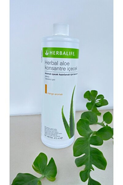 aloe vera geruch entfernen Aloe Vera Blätter kaufen