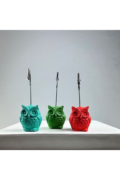 Melouro Owl Note Holder Set of 3 (ice Green - Coral - green)